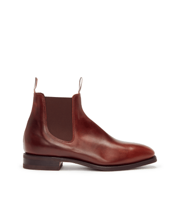 The Oxford Elite